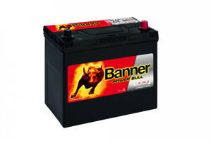 Power Bull P4523